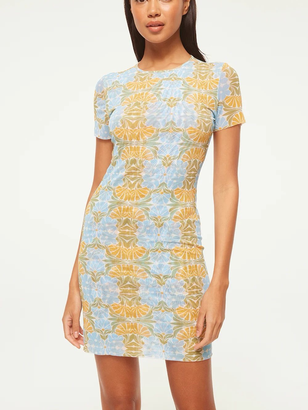 Misa Los Angeles Vina Dress in Citrus Slice